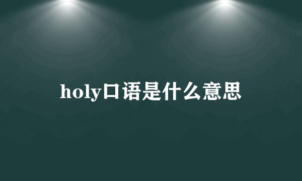 holy口语是什么意思
