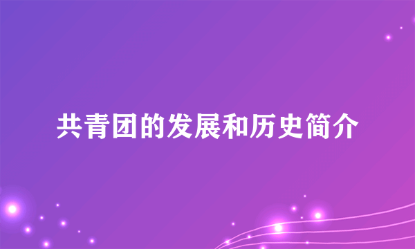 共青团的发展和历史简介