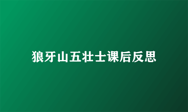 狼牙山五壮士课后反思