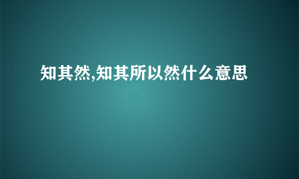 知其然,知其所以然什么意思