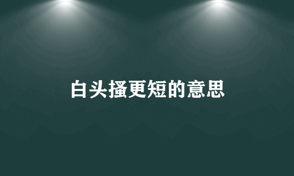 白头搔更短的意思