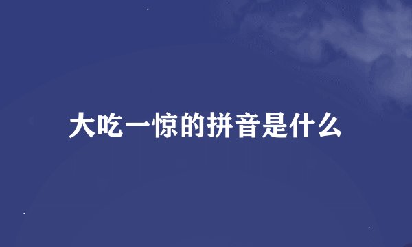 大吃一惊的拼音是什么
