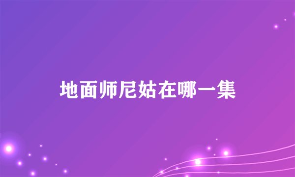 地面师尼姑在哪一集