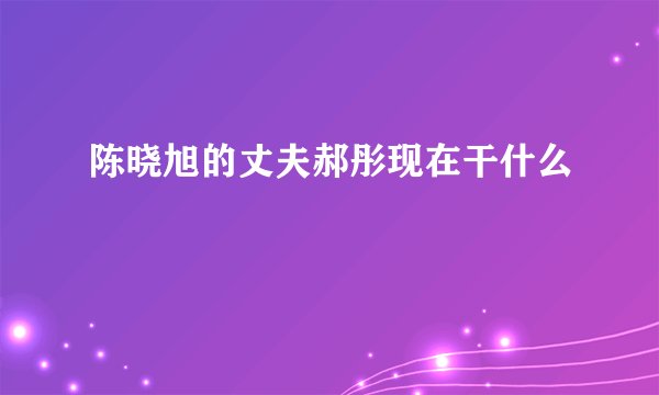 陈晓旭的丈夫郝彤现在干什么