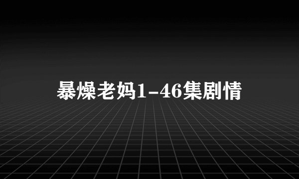 暴燥老妈1-46集剧情