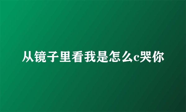 从镜子里看我是怎么c哭你