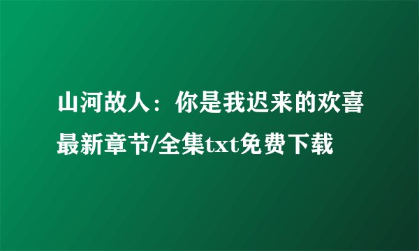山河故人：你是我迟来的欢喜最新章节/全集txt免费下载
