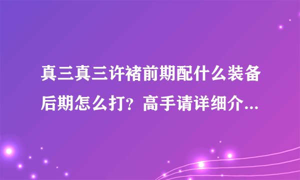 真三真三许褚前期配什么装备后期怎么打？高手请详细介绍，菜鸟请免开尊口！