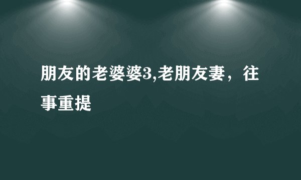 朋友的老婆婆3,老朋友妻，往事重提