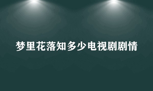 梦里花落知多少电视剧剧情