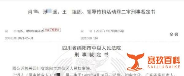 “GEC”环保币,一帮传销骨干获刑