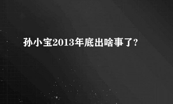 孙小宝2013年底出啥事了?