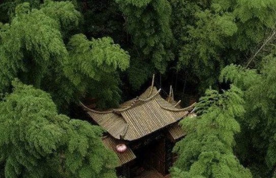 偷得浮生半日闲，人间至味是清欢下一句是什么？