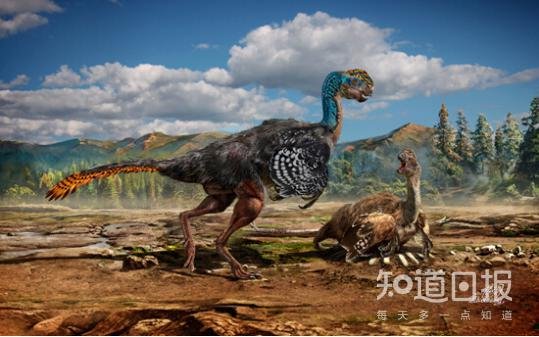 泥潭通天龙：在泥潭中挣扎的窃蛋龙类