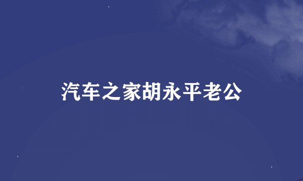 汽车之家胡永平老公