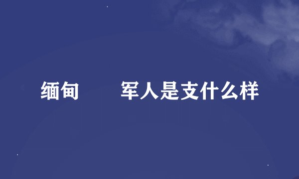 缅甸🇲🇲军人是支什么样