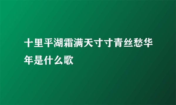 十里平湖霜满天寸寸青丝愁华年是什么歌