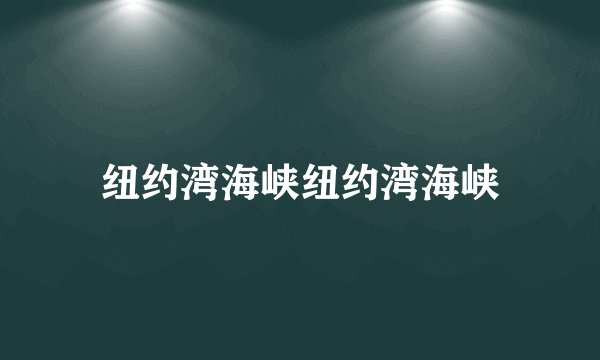 纽约湾海峡纽约湾海峡
