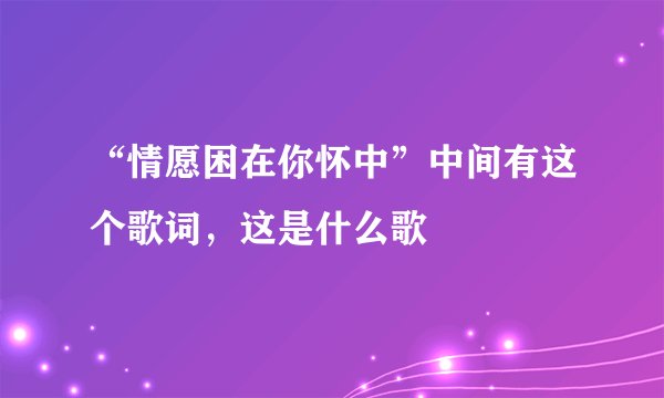 “情愿困在你怀中”中间有这个歌词，这是什么歌