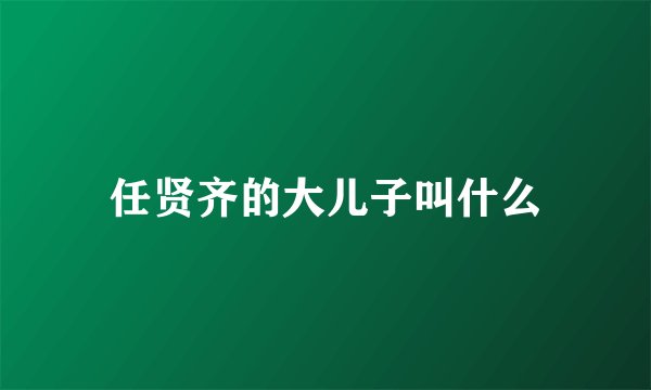 任贤齐的大儿子叫什么