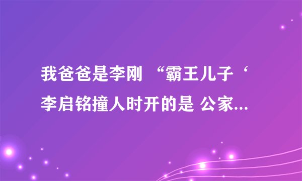 我爸爸是李刚 “霸王儿子‘李启铭撞人时开的是 公家车还是私家车 ？