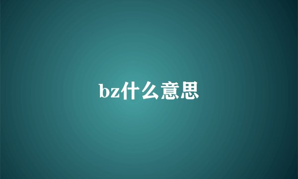 bz什么意思