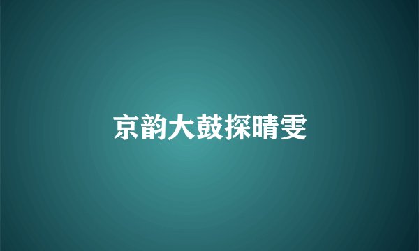 京韵大鼓探晴雯