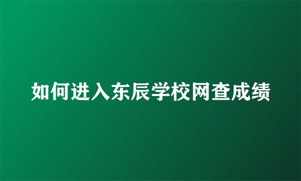 如何进入东辰学校网查成绩