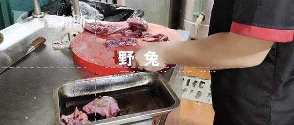 杭州多个市场仍在售卖野味；沈梦辰太缺钱被曝闲置衣服翻三倍出售