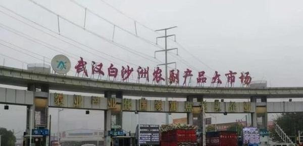 武汉白沙洲用玉米抵运费终于结束，回过头看，到底是谁的责任？