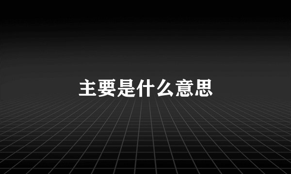 主要是什么意思
