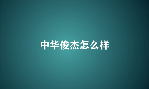 中华俊杰怎么样