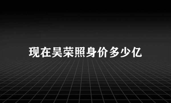 现在吴荣照身价多少亿