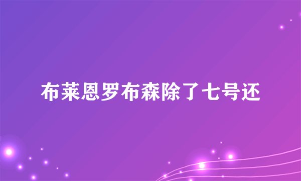 布莱恩罗布森除了七号还