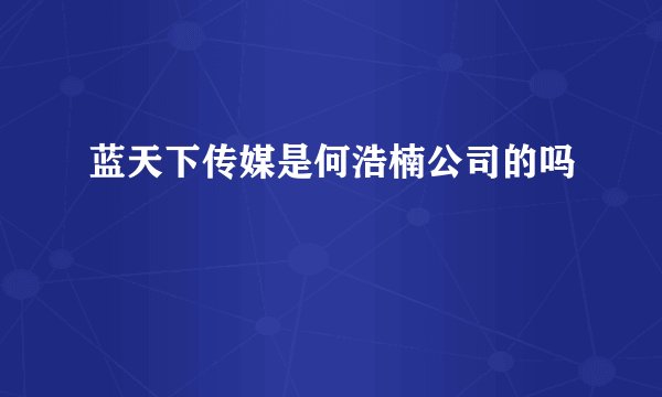 蓝天下传媒是何浩楠公司的吗