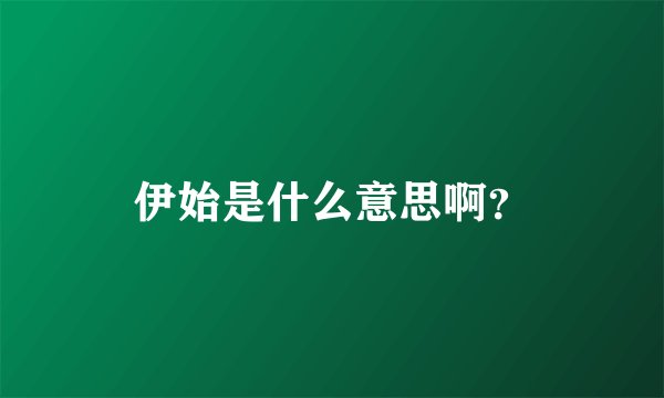 伊始是什么意思啊？