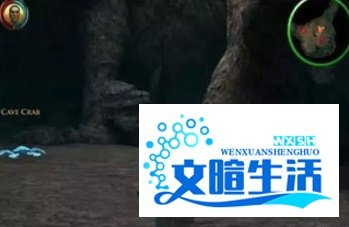 zepto游戏怎么玩