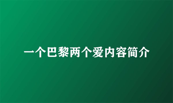 一个巴黎两个爱内容简介