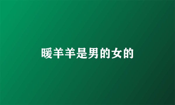 暖羊羊是男的女的