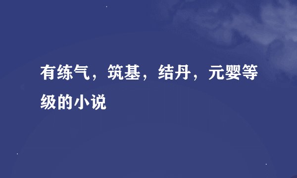 有练气,筑基,结丹,元婴等级的小说