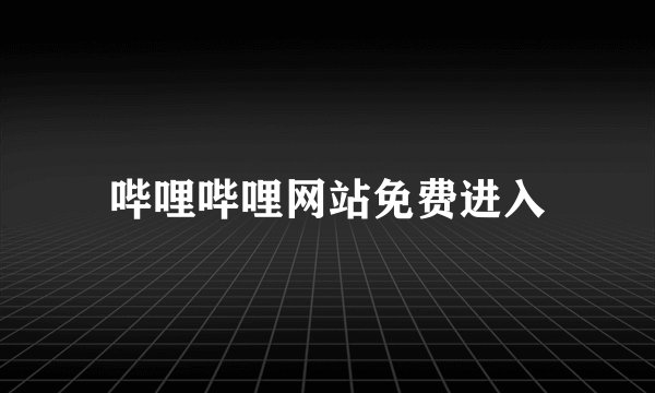 哔哩哔哩网站免费进入