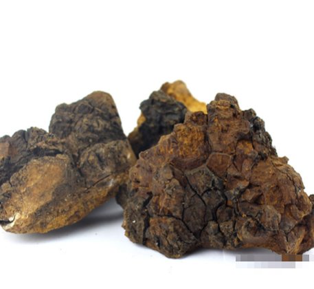 长白山桦树茸价格多少钱一斤