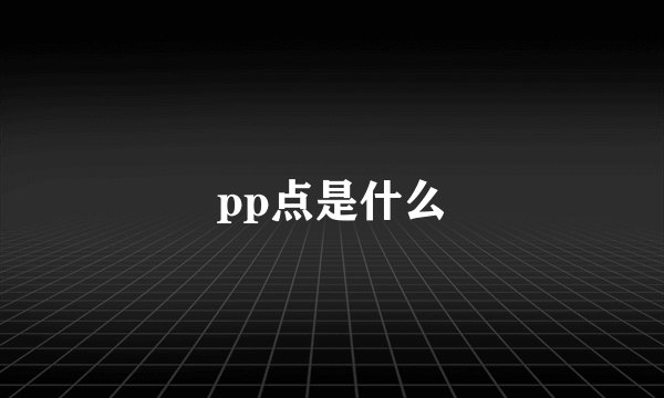 pp点是什么