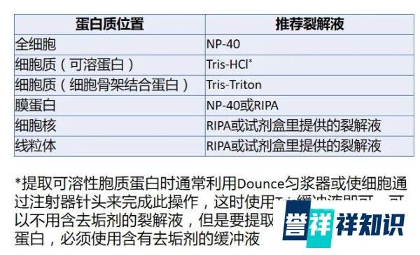 这么多蛋白裂解液，你选对了吗