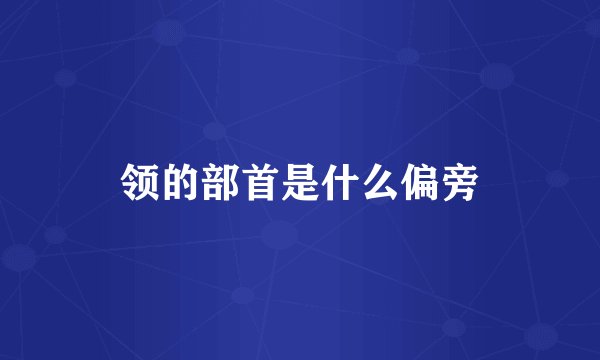 领的部首是什么偏旁