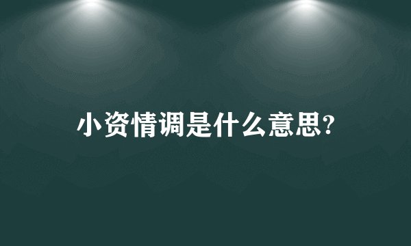 小资情调是什么意思?