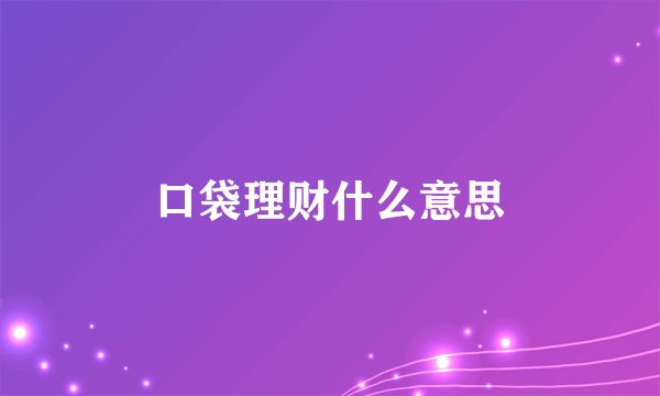 口袋理财什么意思