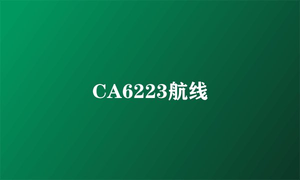 CA6223航线