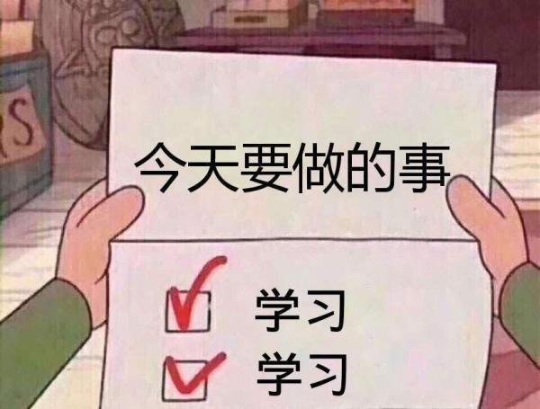怎样学有所成 如何好好学习