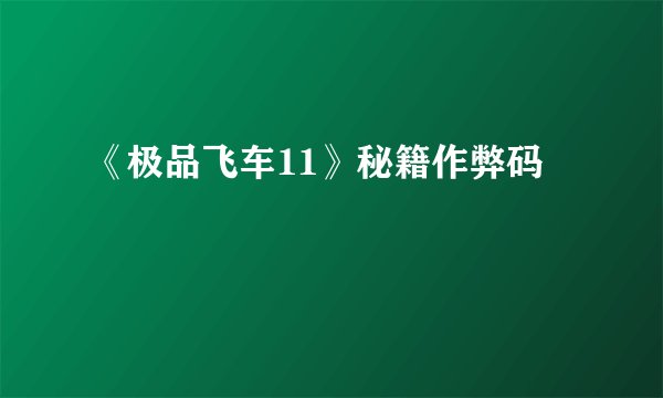 《极品飞车11》秘籍作弊码